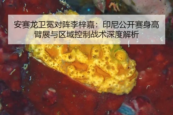 an-sai-long-wei-mian-dui-zhen-li-zi-jia-yin-ni-gong-kai-sai-shen-gao-bi-zhan-yu-qu-yu-kong-zhi-zhan-shu-shen-du-jie-xi-2-686.jpg